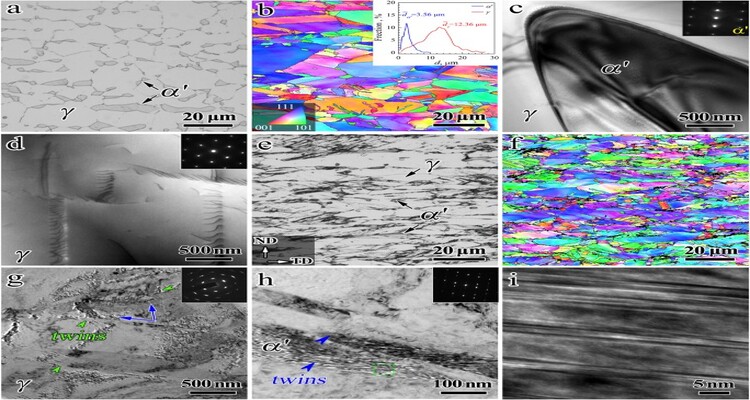 مطالعه TEM و EBSD ریزساختار فولاد ۳۰۴ پس از تغییر شکل پلاستیک شدید